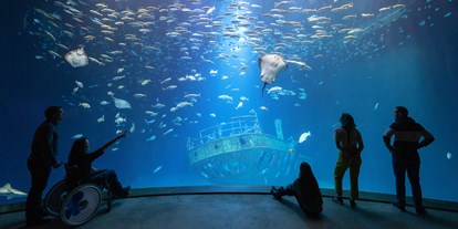 Ausflug mit Kindern - Parkmöglichkeiten - Stralsund - Das Aquarium "Offener Atlantik" bietet einen besonderen Einblick in die Unterwasserwelt - OZEANEUM Stralsund