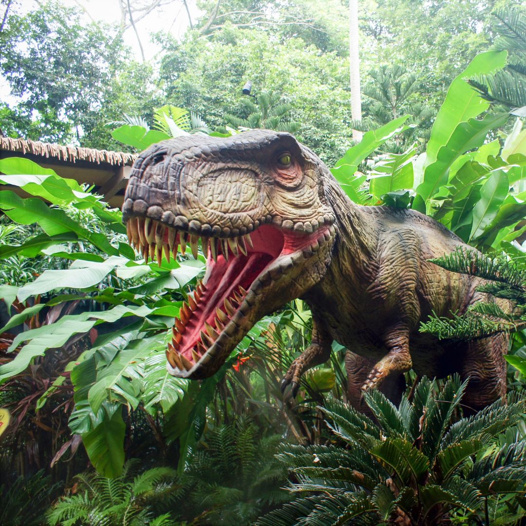 Destination - Symbolbild für Ausflugsziel Dinosaurierland Rügen. Keine korrekte oder ähnlich Darstellung! - Dinosaurierland Rügen