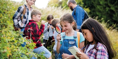 Ausflug mit Kindern - Umgebungsschwerpunkt: Land - Röbel/Müritz - Klax Natur- und Umweltcamp