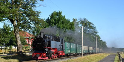 Ausflug mit Kindern - Ausflugsziel ist: eine Bahn - Binz (Vorpommern-Rügen) - Rasender Roland - Rügensche Bäderbahn