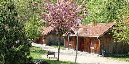 Ausflug mit Kindern - Mecklenburg-Vorpommern - Sozial- und Jugendzentrum Hinterste Mühle
