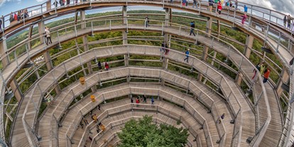 Ausflug mit Kindern - Zirkow - Der Turm ist um eine 30 Meter hohe Rotbuche gebaut worden.  - Naturerbe Zentrum Rügen