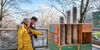 Ausflug mit Kindern - Winterausflugsziel - Rügen - Die anschaulichen Didaktikstationen auf dem Pfad informieren über die heimische Flora und Fauna.  - Naturerbe Zentrum Rügen
