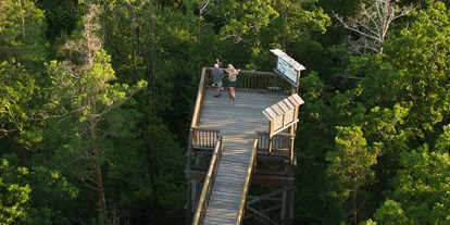 Ausflug mit Kindern - Ausflugsziel ist: ein Naturerlebnis - Stübegg - Baumwipfelweg Althodis