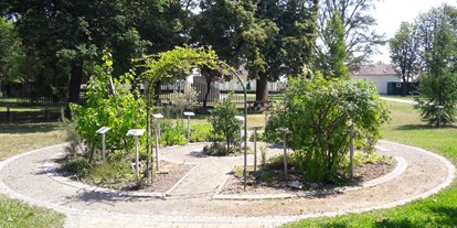 Ausflug mit Kindern - sehenswerter Ort: Garten - Allersdorf im Burgenland / Kljucarevci - Bachblüten Kraftpark