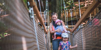 Ausflug mit Kindern - Themenschwerpunkt: Klettern - Familywald Ossiacher See