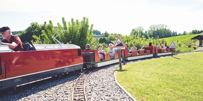 Ausflug mit Kindern - Umgebungsschwerpunkt: Land - Schauberg (Lohnsburg am Kobernaußerwald) - Obralino-Minibahn - OBRA-Kinderland