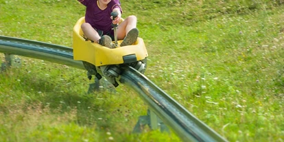 Ausflug mit Kindern - Ausflugsziel ist: eine Sommerrodelbahn - Vorderkleinarl - Symbolbild für Ausflugsziel Alpine Coaster Lucky Flitzer. Keine korrekte oder ähnlich Darstellung! - Alpine Coaster Lucky Flitzer