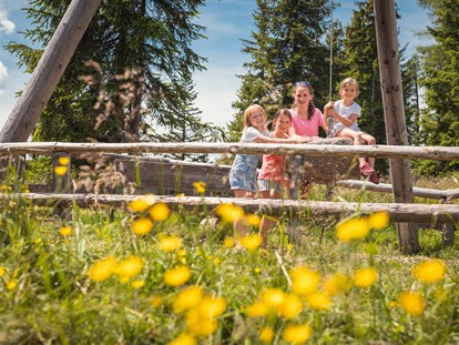 Ausflug mit Kindern - Weg: Naturweg - Wagrainis Grafenberg - dein Abenteuerberg in Salzburg - Wagrainis Grafenberg