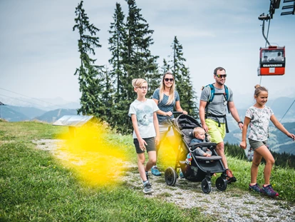 Ausflug mit Kindern - Witterung: Bewölkt - Vorderkleinarl - Perfekt für den nächsten Familienausflug - Wagrainis Grafenberg im Salzburger Land - Wagrainis Grafenberg