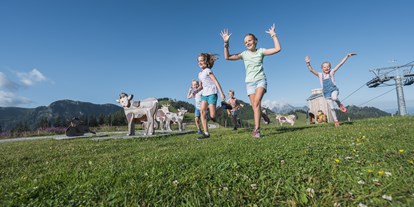 Ausflug mit Kindern - Umgebungsschwerpunkt: Berg - Dorfgastein - Wagrainis Grafenberg