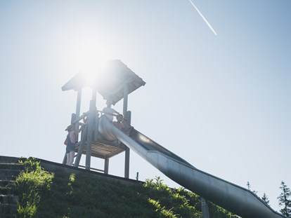 Ausflug mit Kindern - Ausflugsziel ist: ein Freizeitpark - Wagrainis Grafenberg