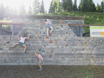 Ausflug mit Kindern - Alter der Kinder: Jugendliche - Ramsau am Dachstein - Wagrainis Grafenberg