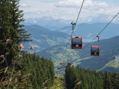 Ausflug mit Kindern - Themenschwerpunkt: Klettern - PLZ 5550 (Österreich) - Wagrainis Grafenberg