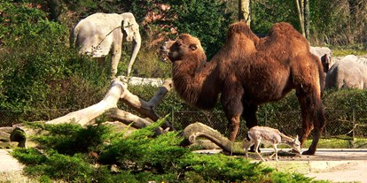 Ausflug mit Kindern - Braak - Tierpark Hagenbeck