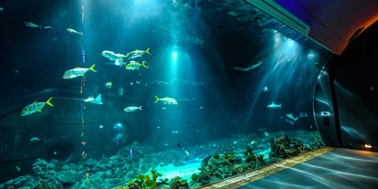 Ausflug mit Kindern - Stapelfeld - Tropen-Aquarium Hagenbeck