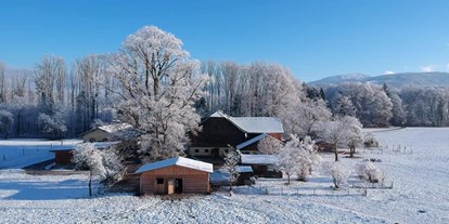 Ausflug mit Kindern - Ausflugsziel ist: ein Bauernhof - Bad Dürrnberg - Erlebnisbauernhof in Grödig
