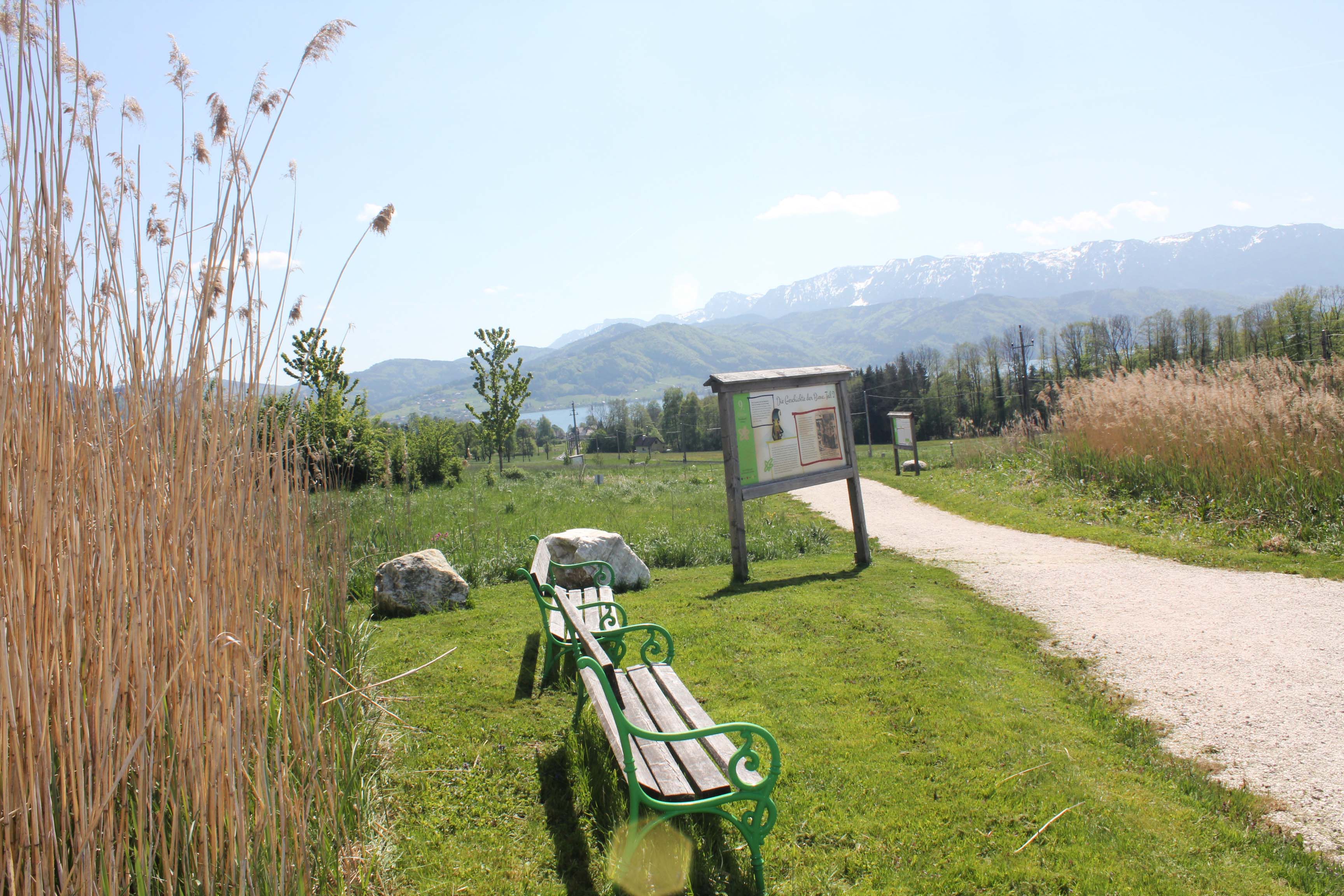 Ausflug mit Kindern - Unsere Lehrpfade sind nicht nur Lehrreich sondern bieten auch viele Möglichkeiten ein wenig inne zu halten und die Natur zu genießen! - Bienenhof Attersee