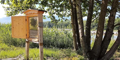 Trip with children - Weg: Lernweg - Upper Austria - Der Schaubienenstock ist für Groß und Klein ein erlebnis. Hier kann man den Bienen bei der Arbeit zusehen! - Bienenhof Attersee