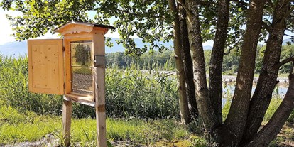 Ausflug mit Kindern - Mühring - Der Schaubienenstock ist für Groß und Klein ein erlebnis. Hier kann man den Bienen bei der Arbeit zusehen! - Bienenhof Attersee