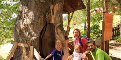 Ausflug mit Kindern - Ausflugsziel ist: eine Wanderung - Natur- und Umwelterlebnispfad am Sattelberg
