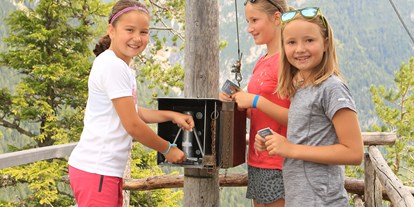 Ausflug mit Kindern - Themenschwerpunkt: Klettern - PLZ 5550 (Österreich) - Natur- und Umwelterlebnispfad am Sattelberg