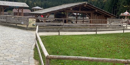 Ausflug mit Kindern - Themenschwerpunkt: Pferde - Haarlacken - Gut Aiderbichl Henndorf