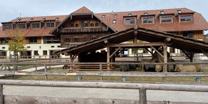 Ausflug mit Kindern - Themenschwerpunkt: Pferde - Sankt Leonhard (Grödig) - Gut Aiderbichl Henndorf