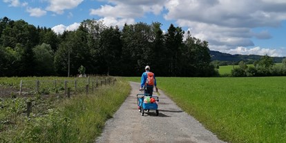 Ausflug mit Kindern - outdoor - Hallein - Der Weg führt durch eine wunderschöne, hügelige Landschaft bzw den Wald  - Schaukelweg Anthering