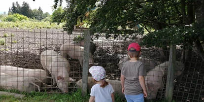Ausflug mit Kindern - Umgebungsschwerpunkt: Land - Sankt Leonhard (Grödig) - Schweine hautnah  - Schaukelweg Anthering