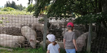 Ausflug mit Kindern - Witterung: Wechselhaft - Grödig - Schweine hautnah  - Schaukelweg Anthering