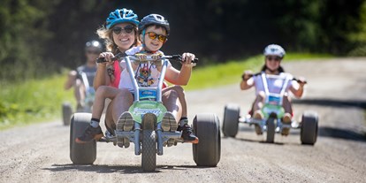 Ausflug mit Kindern - Umgebungsschwerpunkt: Land - Goisern - Das Mountain Gokart garantiert Spaß für Groß & Klein - Gipfelbahn Hochwurzen