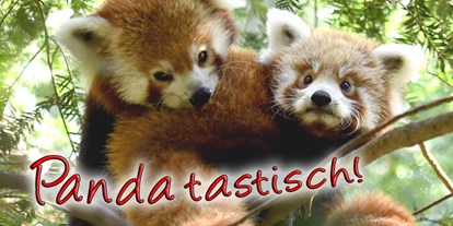 Ausflug mit Kindern - Oberlausitz - Naturschutz-Tierpark Görlitz-Zgorzelec