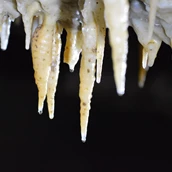 Destination - Faszinierende Tropfsteine in der Drachenhöhle - Drachenhöhle Syrau