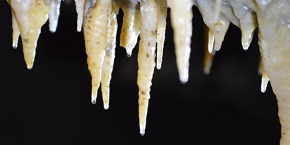 Ausflug mit Kindern - Witterung: Kälte - Sachsen - Faszinierende Tropfsteine in der Drachenhöhle - Drachenhöhle Syrau