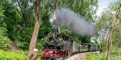 Trip with children - Roßwein - Döllnitzbahn