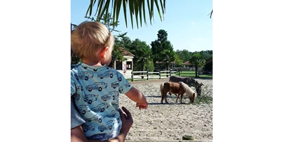 Voyage avec des enfants - Freizeitpark: Vergnügungspark - Unser Streichelzoo - Irrland - Die Bauernhof-Erlebnisoase