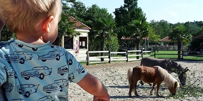 Ausflug mit Kindern - Ausflugsziel ist: ein Streichelzoo - Deutschland - Irrland - Die Bauernhof-Erlebnisoase