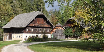 Ausflug mit Kindern - Ausflugsziel ist: eine Sehenswürdigkeit - Thalgau - Salzburger Freilichtmuseum