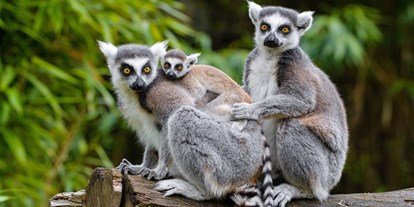 Ausflug mit Kindern - Nordrhein-Westfalen - Duisburger Zoo