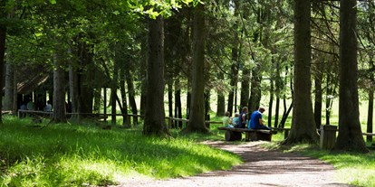 Ausflug mit Kindern - Parkmöglichkeiten - Arnsberg - Rundweg Hirschrevier - WILDWALD Vosswinkel