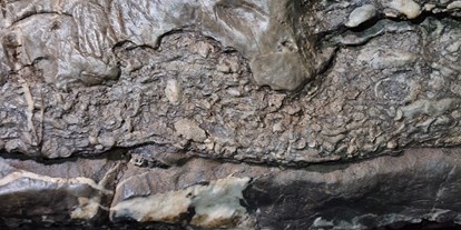 Ausflug mit Kindern - Ausflugsziel ist: ein Naturerlebnis - Waldbröl - Versteinerter Schwamm - Aggertalhöhle