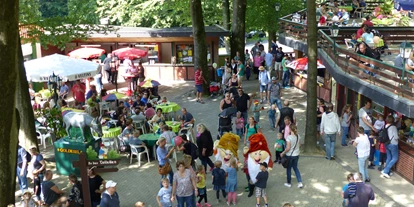 Ausflug mit Kindern - Osnabrück - Freizeitpark Sommerrodelbahn