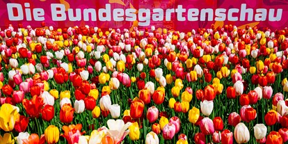 Ausflug mit Kindern - Ausflugsziel ist: eine Sehenswürdigkeit - Tulpenfelder - Bundesgartenschau Erfurt 2021