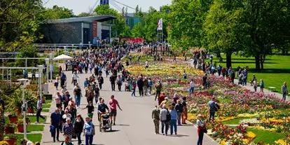 Ausflug mit Kindern - Ausflugsziel ist: eine Sehenswürdigkeit - Arnstadt - Das große Blumenbeet im egapark - Bundesgartenschau Erfurt 2021