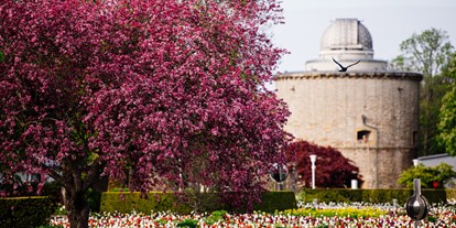 Ausflug mit Kindern - Ausflugsziel ist: eine Sehenswürdigkeit - Arnstadt - Blütenpracht im egapark - Bundesgartenschau Erfurt 2021