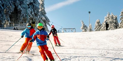 Ausflug mit Kindern - Themenschwerpunkt: Klettern - Ski- und Rodelarena Wasserkuppe