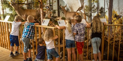 Ausflug mit Kindern - Witterung: Schönwetter - PLZ 7202 (Österreich) - Schloss Lackenbach Kids & Family - Schloss Lackenbach