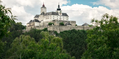 Ausflug mit Kindern - sehenswerter Ort: Burg - Bad Vöslau - Burg Forchtenstein  - Burg Forchtenstein