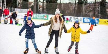Ausflug mit Kindern - Sportanlage: Fußballplatz - Breitenwaida - Eislaufplatz - Happyland